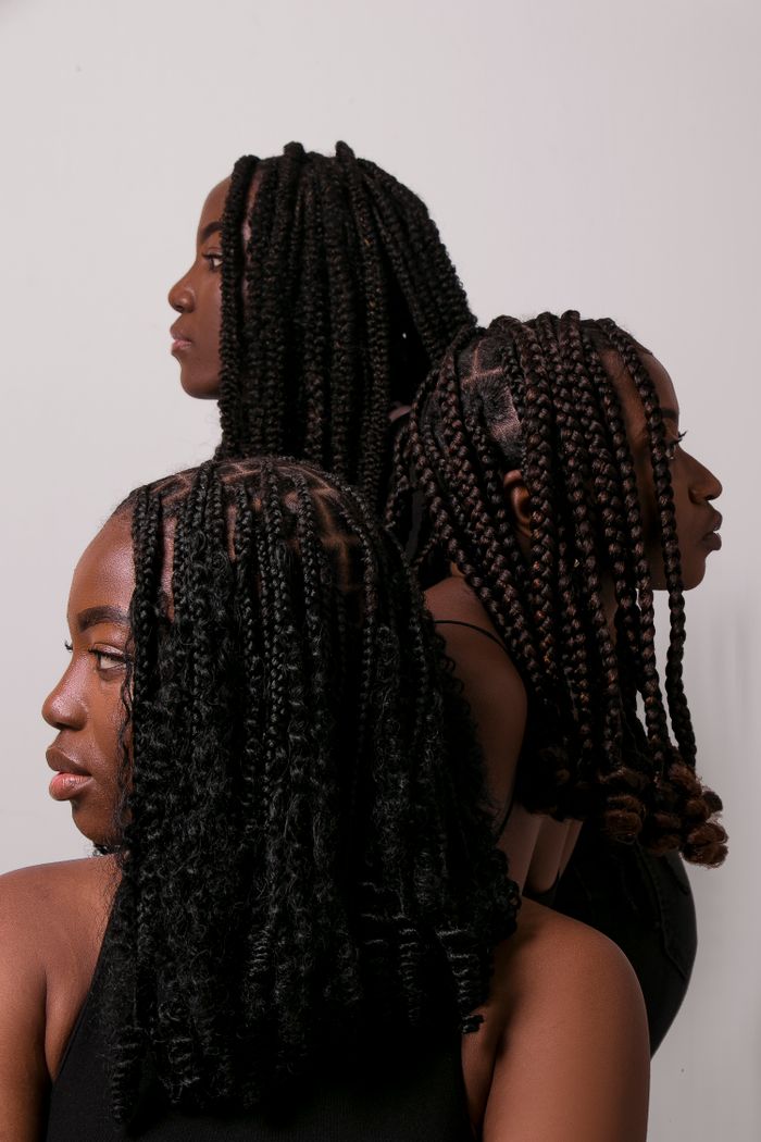Home Stylish portrait of three women showcasing a variety of intricate braided hairstyles, exuding elegance.