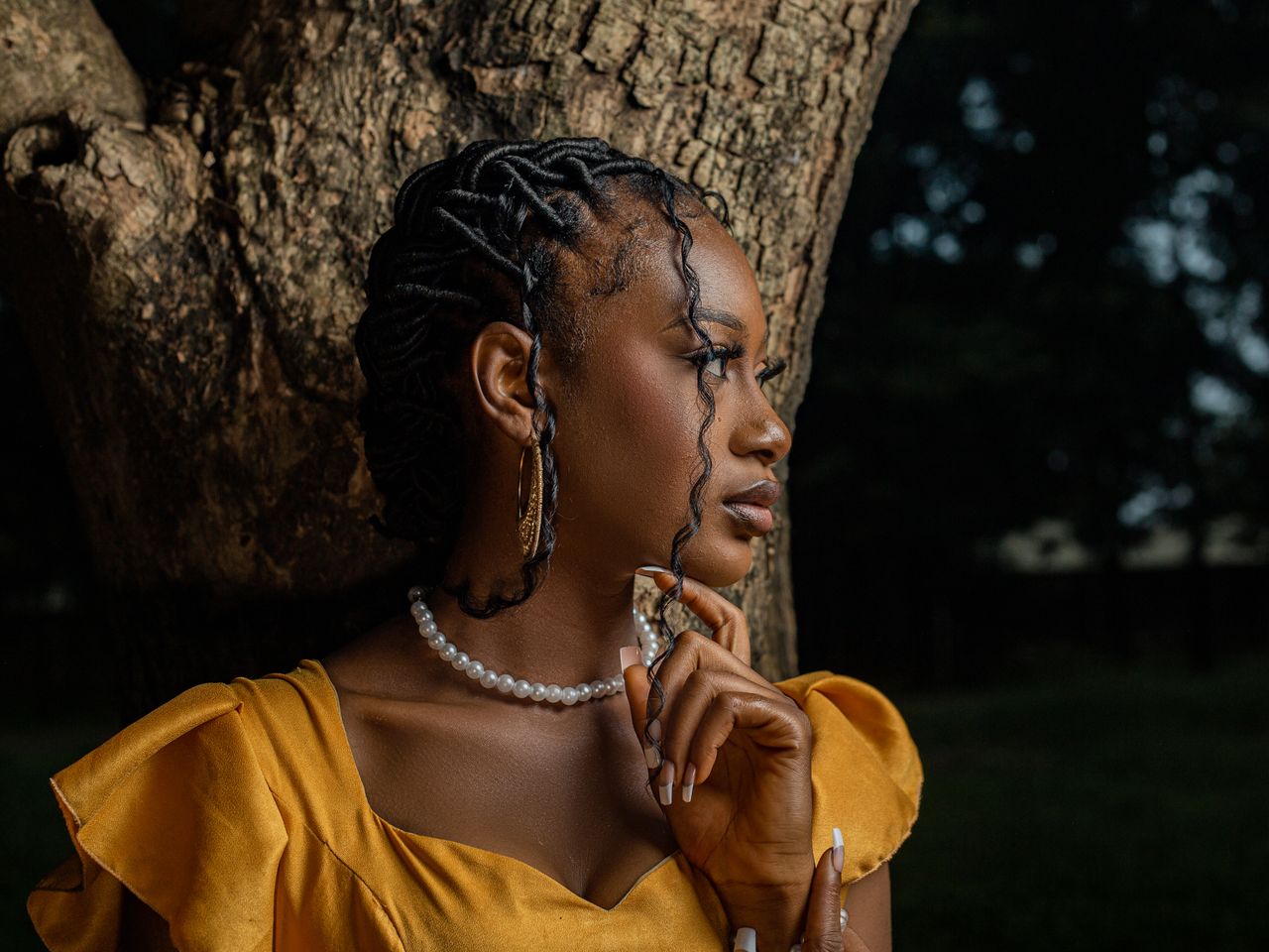 Home A serene portrait of an African woman posing outdoors with braided hair, wearing elegant jewelry.